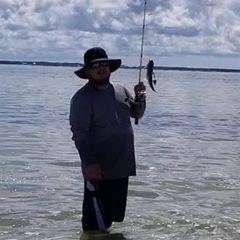 Profile Picture of Jason Fuller (@jasonfuller46) on Tiktok