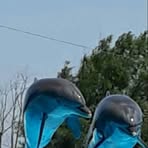 Profile Picture of Anna Rotolo (@anna.rotolo.56) on Facebook