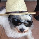 Profile Picture of Alessandra_perrone (@_aleperrons17_) on Instagram