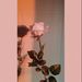 Profile Picture of Marilyn Lampson (@marilynlampson) on Pinterest