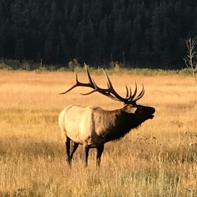 Profile Picture of Jim Andrus (@andrus_jim) on Twitter