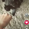 Profile Picture of helene_xxschusterxx (@@helene_xxschusterxx) on Tiktok