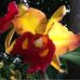 Profile Picture of Joan Bethell (@joan.bethell.1232) on Facebook