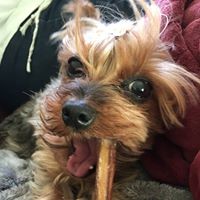 Profile Picture of Kerri Sutton (@kerri-sutton-2) on Quora