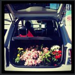 Profile Picture of Conrad Torres (@logisobazoo) on Instagram