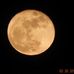 Profile Picture of John Woehlert (@john.woehlert.77) on Facebook