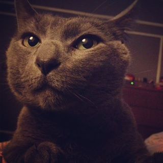 Profile Picture of Cyrus Holmes (Cyrus) (@jessica.holmes.7967) on Facebook