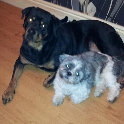 Profile Picture of Carl Fraser (@carlfraser1972) on Twitter