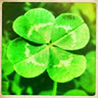 Profile Picture of Stacey Adair (@stacey-adair-6) on Quora