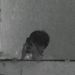 Profile Picture of mark kyle (@mrxklye) on Pinterest