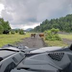 Profile Picture of Nestor Becerra🌎 (@terrorista_23) on Instagram