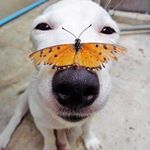 Aaron Lozano - Instagram Profile Picture of Aaron Lozano (@aaronlozan) on Instagram