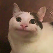 Profile Picture of Hailey Barlow (@haileybarlow) on Youtube