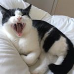 Profile Picture of Maria Scully (@mariascully117) on Instagram
