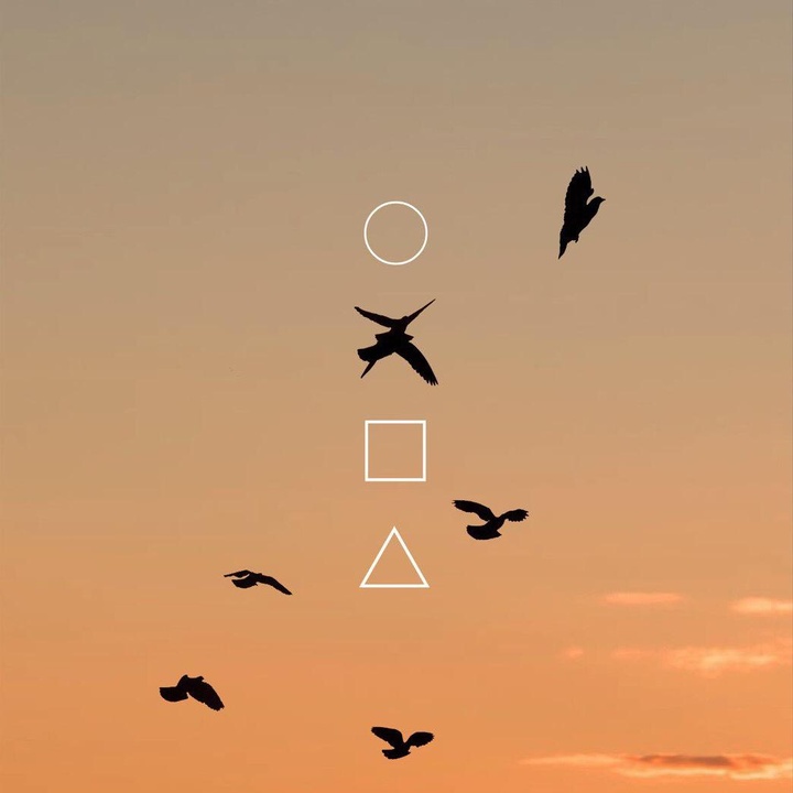 Profile Picture of Timothy (@timothykevin) on Tiktok