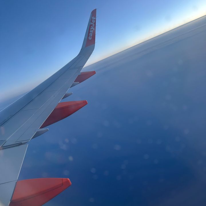 Profile Picture of brad (@tree_jr_saved_ur_goal) on Tiktok