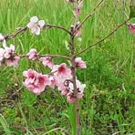 Profile Picture of Andreas Savvides (@andreas.savvides.984) on Facebook