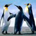 Profile Picture of Rajesh Vijayaragavan (@rajesh.vijayaragavan) on Facebook