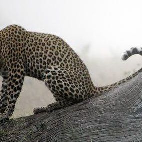 Profile Picture of Mona Minkova (@mona.minkova) on Facebook