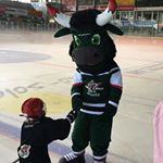 Profile Picture of Marc Engelmann (@starbulls_1928_83) on Instagram