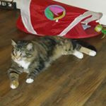 Profile Picture of Donna Booker (@dbooker71) on Instagram