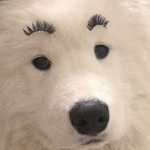 Profile Picture of brandy (@nigalstrawberry) on Instagram