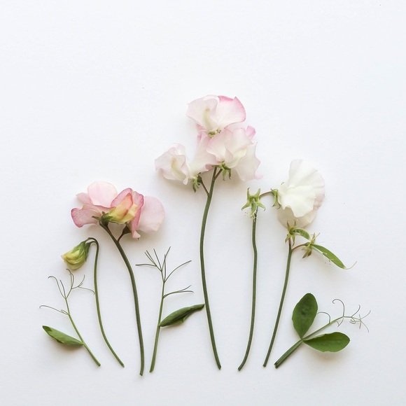 Profile Picture of Juli Servatius (@julioshop651) on Poshmark