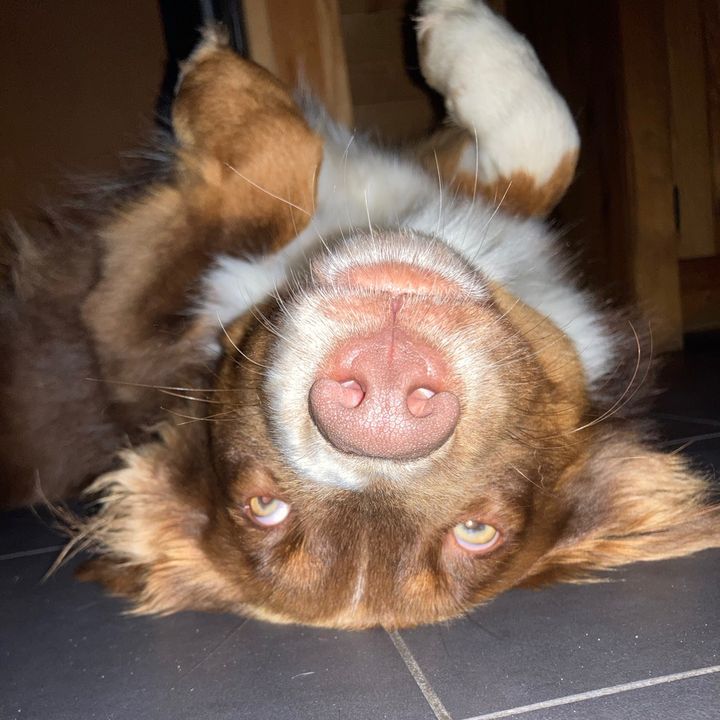 Profile Picture of Jonathan Pequignot (@jonathan_pgt) on Tiktok