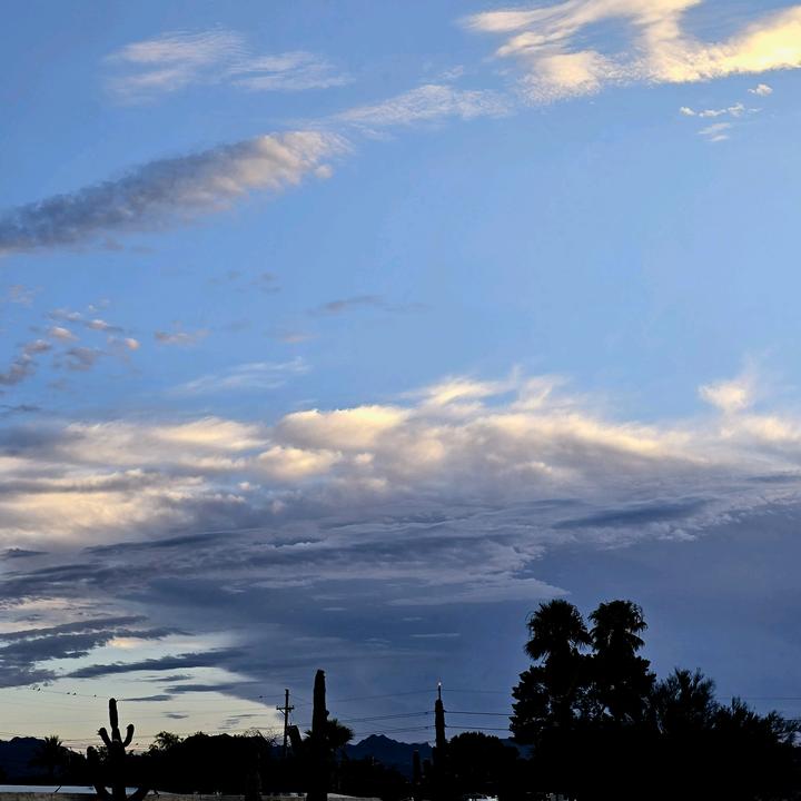 Profile Picture of Rowen Hayes (@rowenhayes) on Tiktok