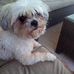 Profile Picture of Jody Crouch (@Jody-Crouch) on Facebook