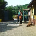 Profile Picture of rochij.carlos (@roccopecoraro23) on Instagram