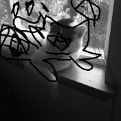 Profile Picture of Forest Fox (@ForestFox-x5n) on Youtube