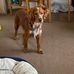 Profile Picture of Daniel Hopper (@daniel.hopper.31542) on Facebook