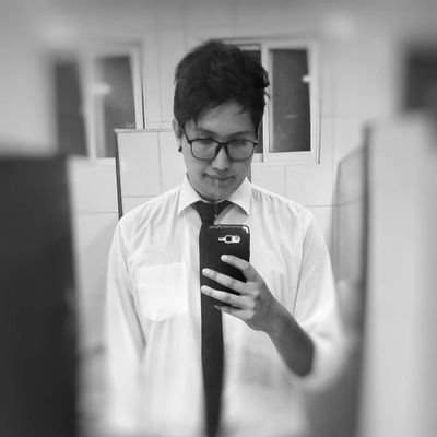 Profile Picture of Luis Leaño Aranibar (@luislean_ar) on Twitter