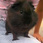 Profile Picture of Kenny Bednár (@kenny.bednar) on Facebook