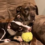 Profile Picture of Ginger Winters Chappell (@ginger101994) on Instagram