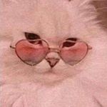 Profile Picture of  Alexandra Castrillón Motta. (@alexacmotta21) on Instagram