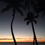 Profile Picture of Michael Bauer (@beachwombat822) on Flickr