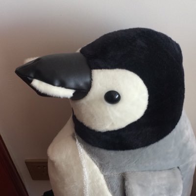 Profile Picture of Zack Lee (@TomWillard17) on Twitter