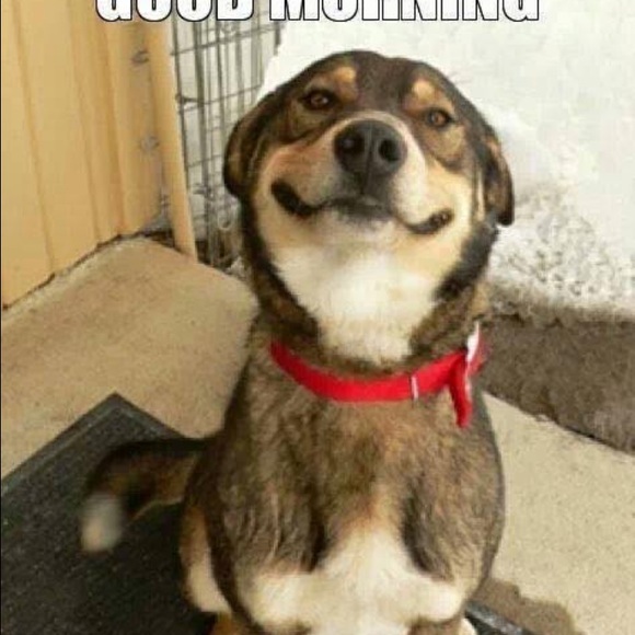 Profile Picture of Cody Runyon (@codyrunyon20) on Poshmark