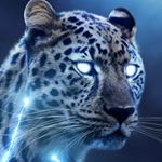 Profile Picture of blue Jaguar (@seanfrasier) on Instagram