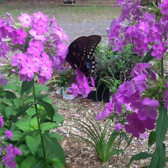 Profile Picture of Carson Strickland (@carsonstrick762) on Poshmark