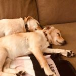 Profile Picture of Aaron James Johnson (@aaronjohnson_46) on Instagram