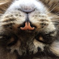 Profile Picture of Hui Ku (@hui-ku-2) on Quora