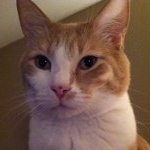 Profile Picture of bobmccarty (@bobmccarty) on Instagram