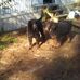 Profile Picture of Keith Ostrander (@keith.ostrander.5) on Facebook