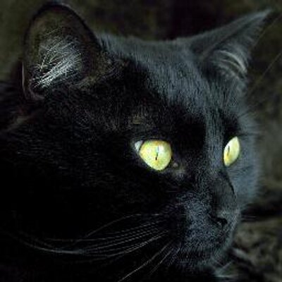 Profile Picture of Devin Dill (@DevinDill) on Twitter