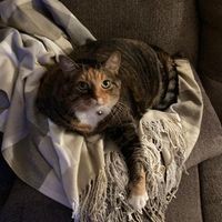 Profile Picture of Nancy Triplett (@nancy-triplett-8) on Quora