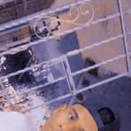 Profile Picture of Javier Chirinos (@Javier-Chirinos) on Facebook