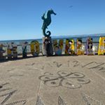 Profile Picture of David Brambila Pelayo (@davidbrambilapelayo) on Instagram